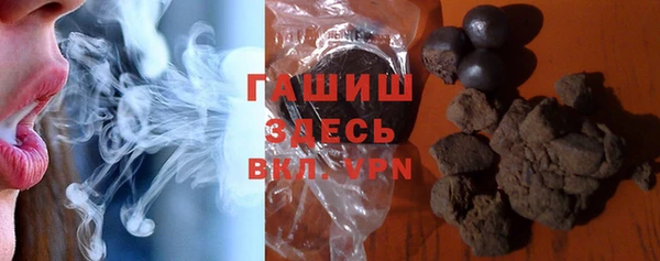 гашик Ельня