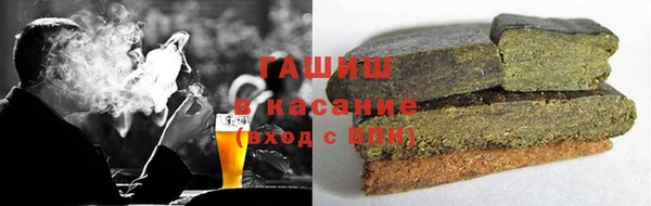 гашик Ельня