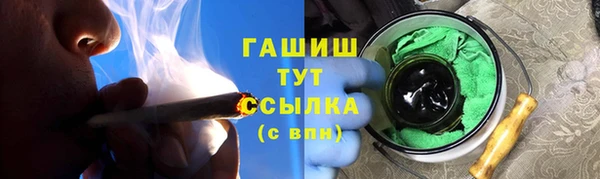 гашик Ельня