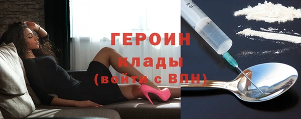 гашик Ельня