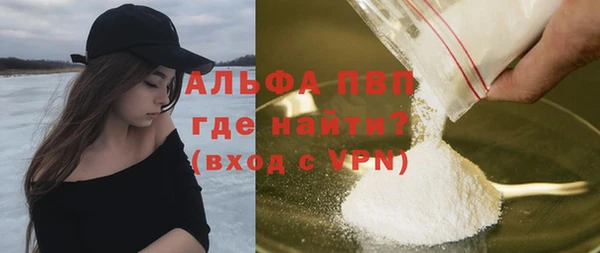 гашик Ельня