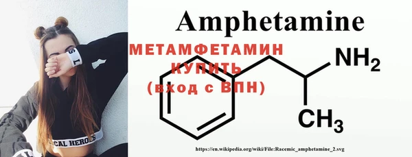 гашик Ельня