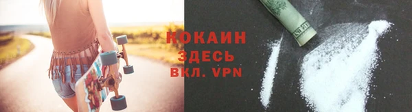 гашик Ельня