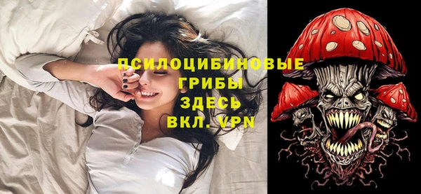 гашик Ельня