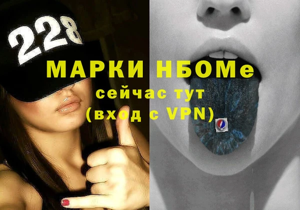 гашик Ельня