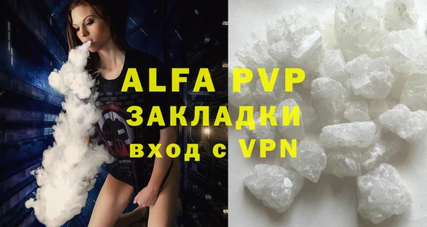 гашик Ельня