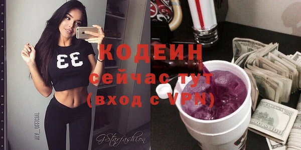 гашик Ельня