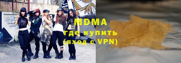 гашик Ельня