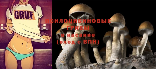 гашик Ельня